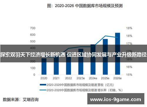 探索双羽天下经济增长新机遇 促进区域协同发展与产业升级新路径