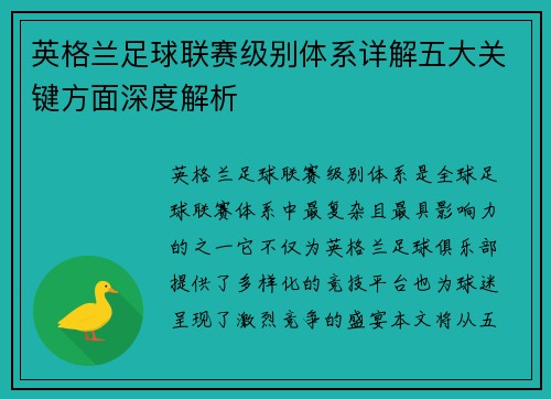 英格兰足球联赛级别体系详解五大关键方面深度解析