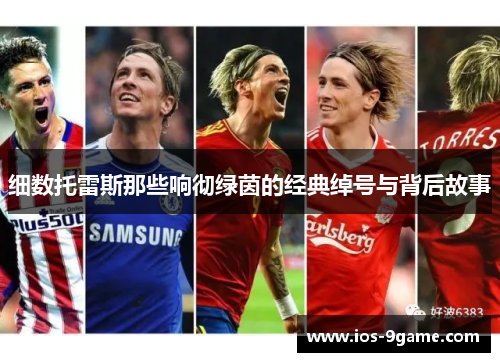 细数托雷斯那些响彻绿茵的经典绰号与背后故事