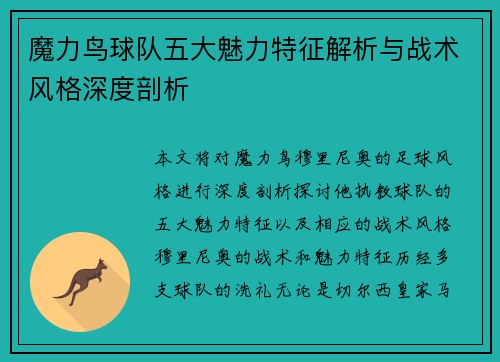 魔力鸟球队五大魅力特征解析与战术风格深度剖析